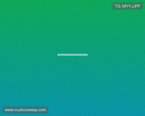 申花亚冠小组赛首轮客战江原末轮客战武里南联赛程公布