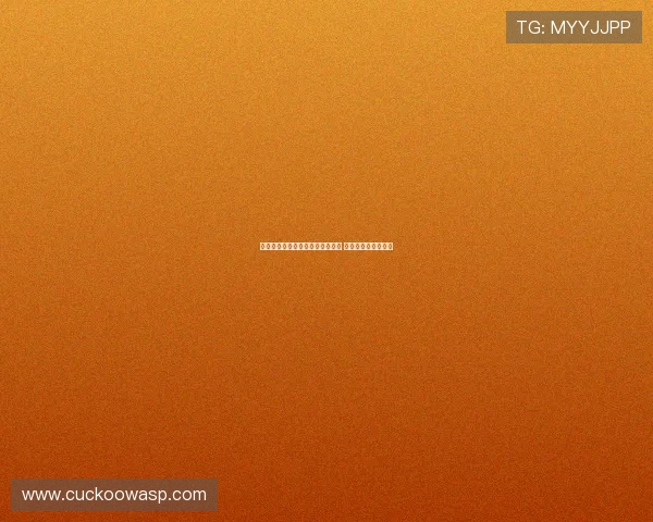 弗拉霍维奇仍为米兰重点引援目标 尤文计划中无其位置